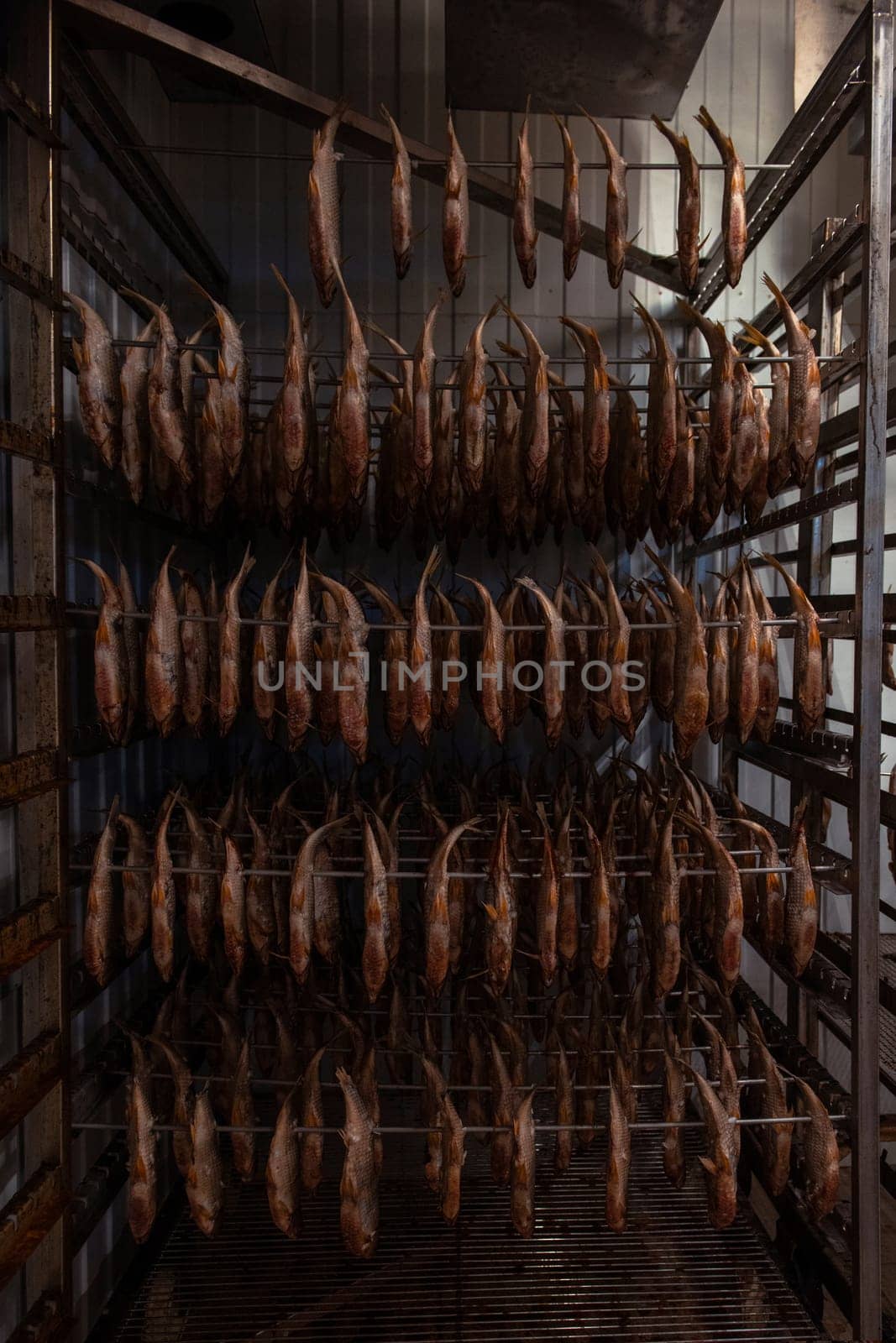 Smoked fish production concept: smoked fish in smokehouse box.