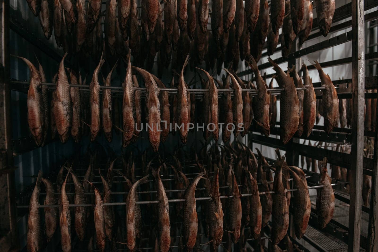 Smoked fish production concept: smoked fish in smokehouse box.