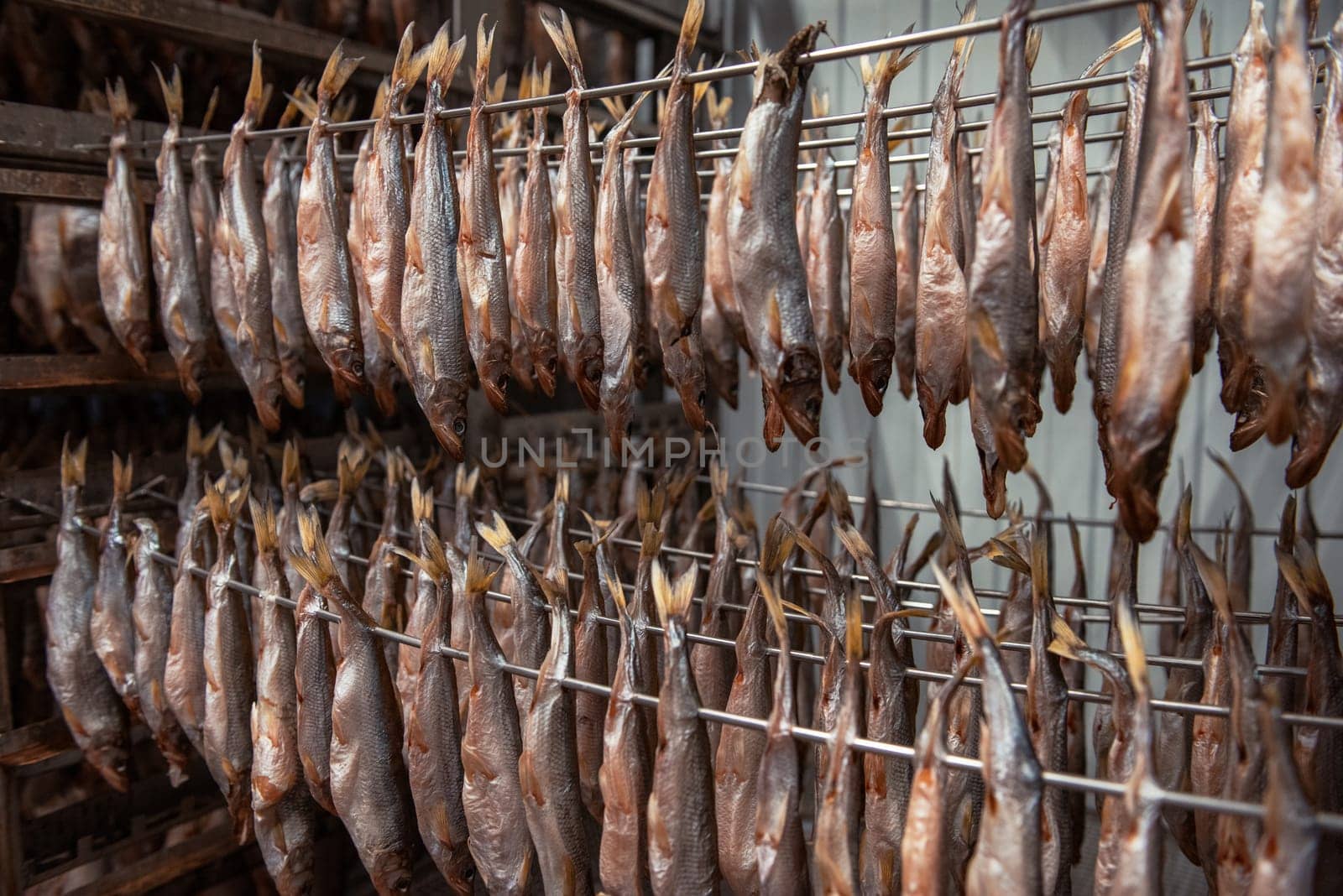 Smoked fish production concept: smoked fish in smokehouse box.