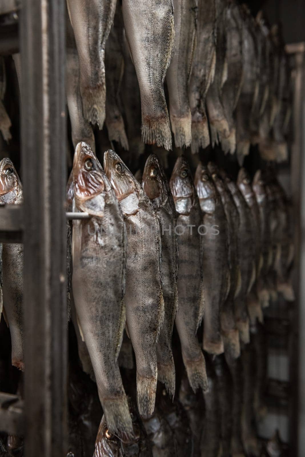 Smoked fish production concept: smoked fish in smokehouse box.