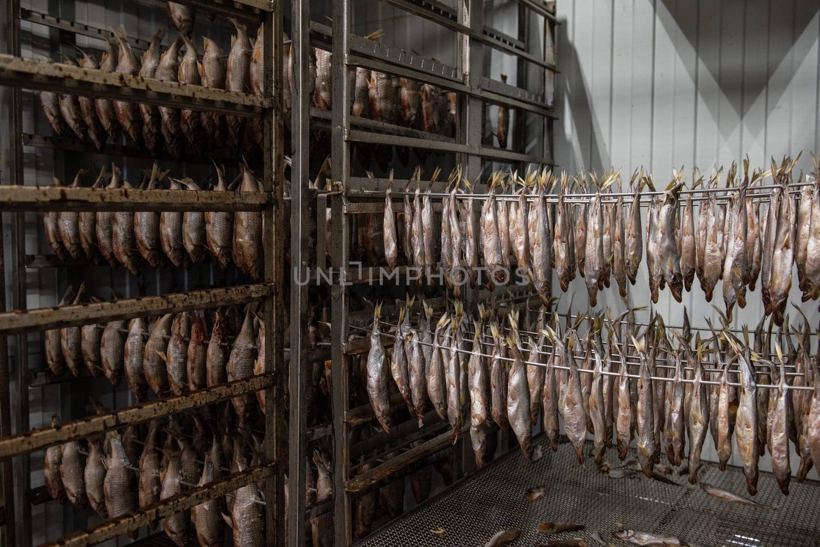 Smoked fish production concept: smoked fish in smokehouse box.