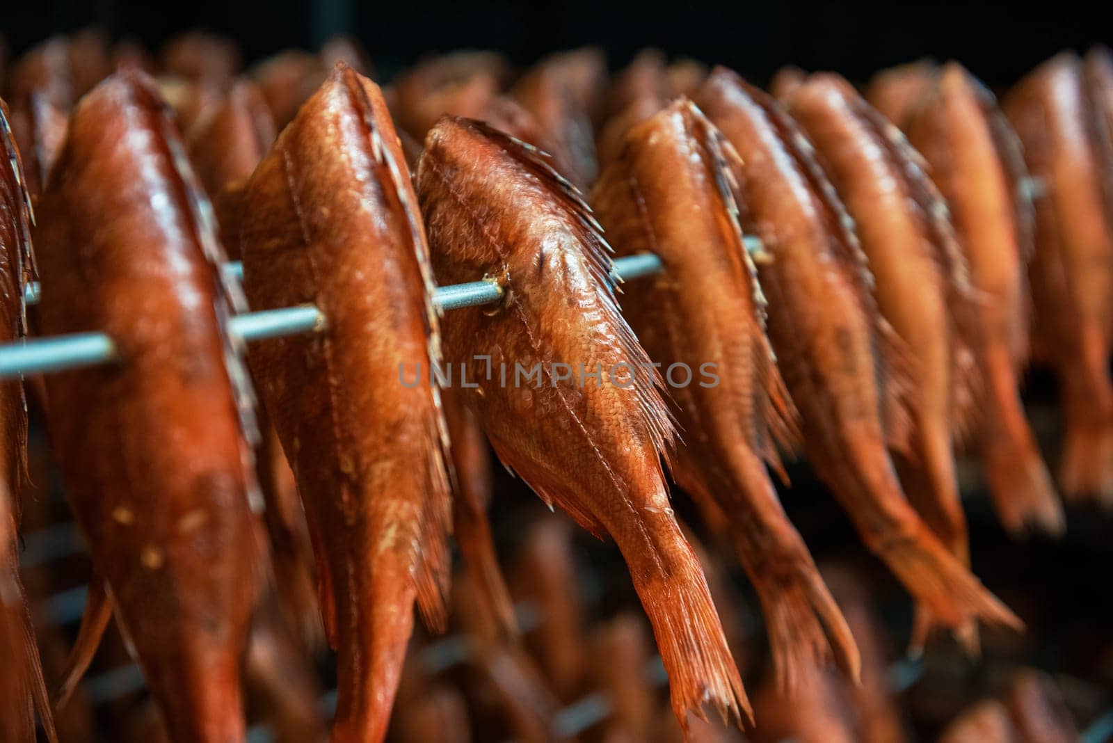 Smoked fish production concept: smoking sea bass fish in smokehouse box.