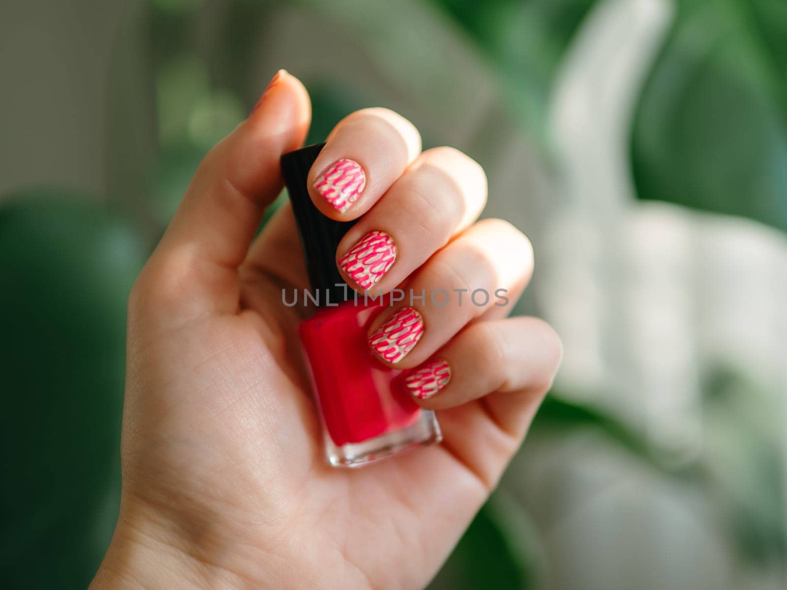 Aesthetic visual of fingernail with short square nails with neon stamping manicure. Hand with glass bottle of pink neon nail polish lacquer. Stylish bright stamping nail art design on green background