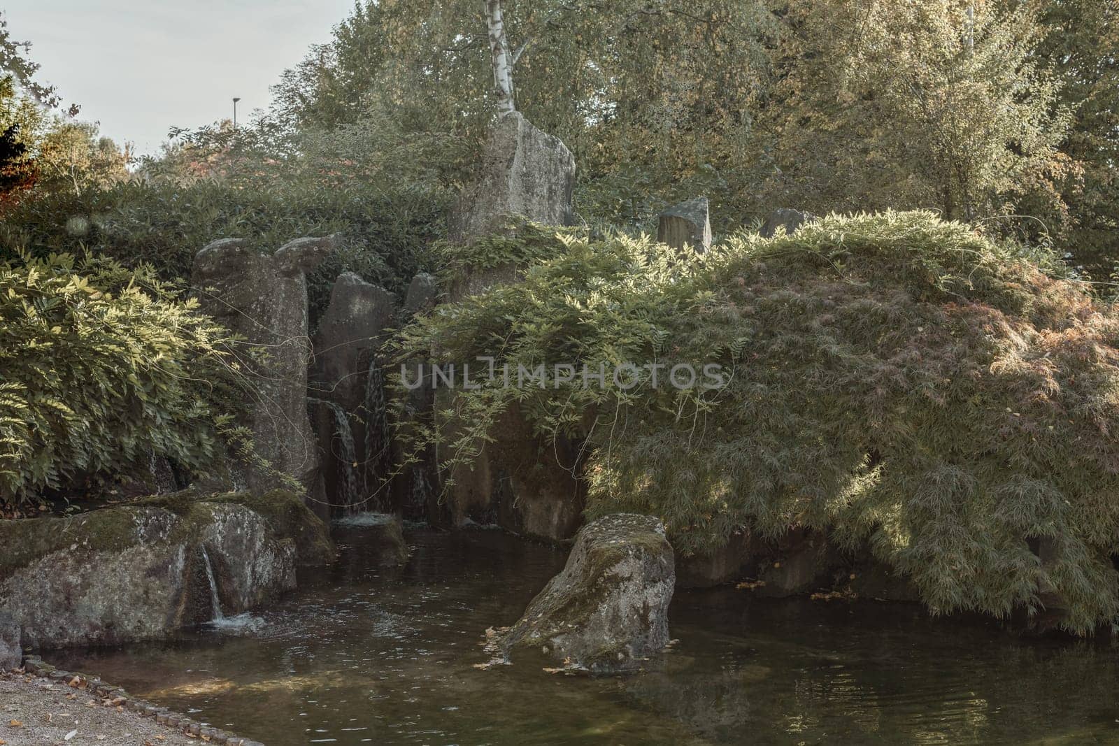 Scenic Japanese style gardens with a waterfall in the park, in autumn. Japanese water garden. Waterfall with maple trees in Japanese green Garden Park green summer zen lake pond water in London, UK