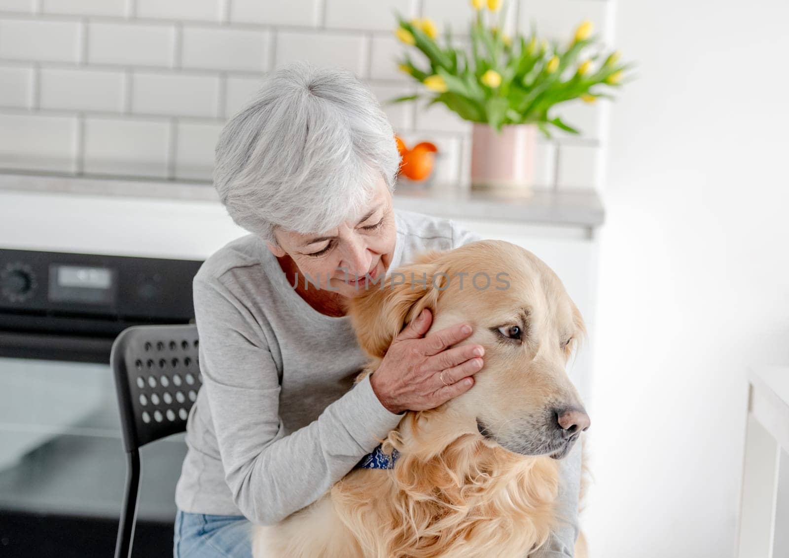 Woman With Grey Hair Enjoys Time At Home With Golden Retriever