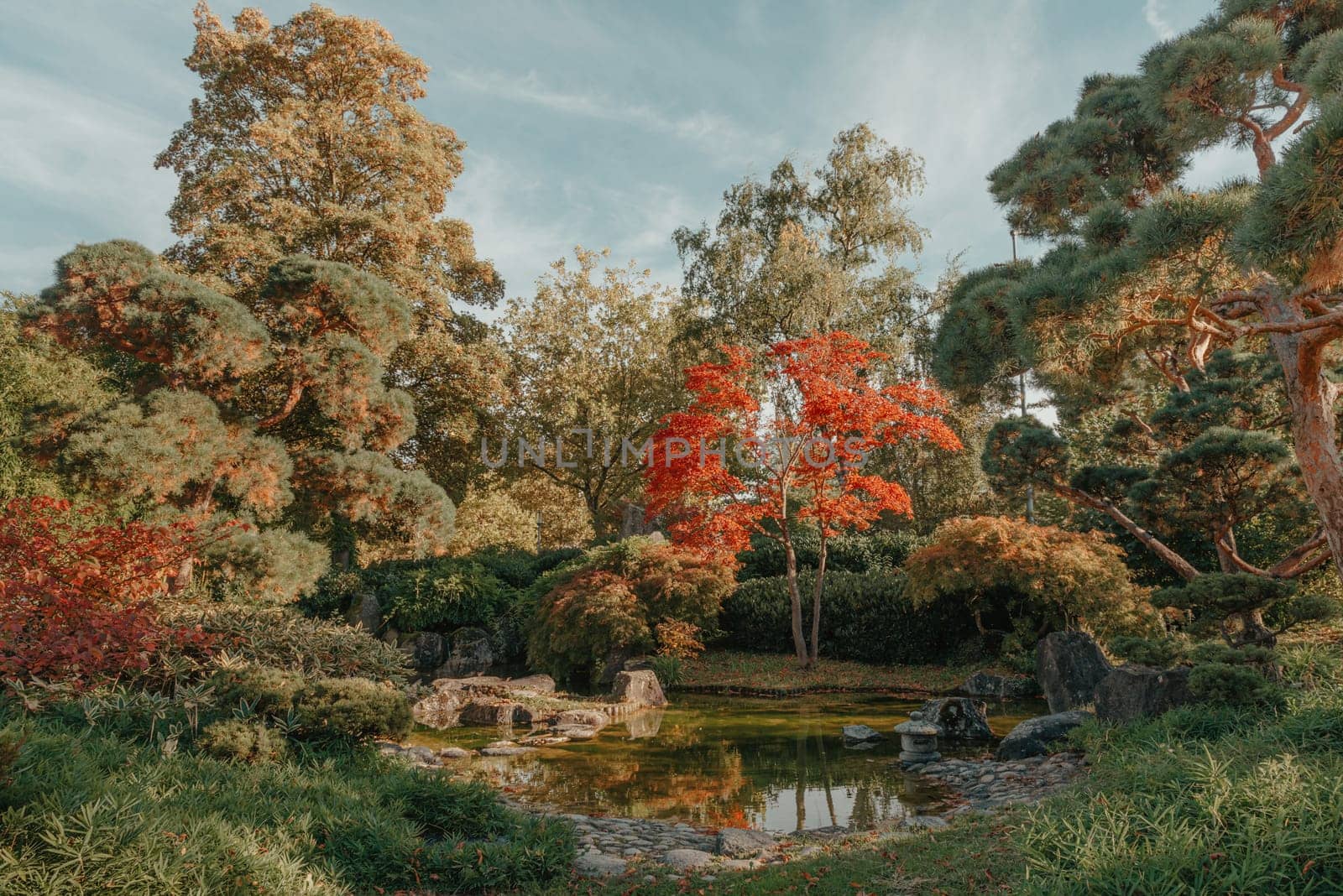 Beautiful Japanese Garden and red trees at autumn seson. A burst of fall color with pond reflections. by Andrii_Ko