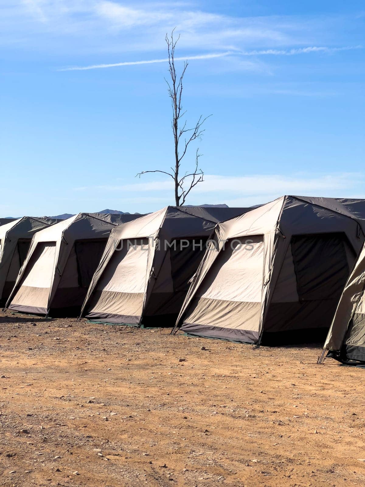 Tents set up near Wilpena Pound, offering adventure and breathtaking views.