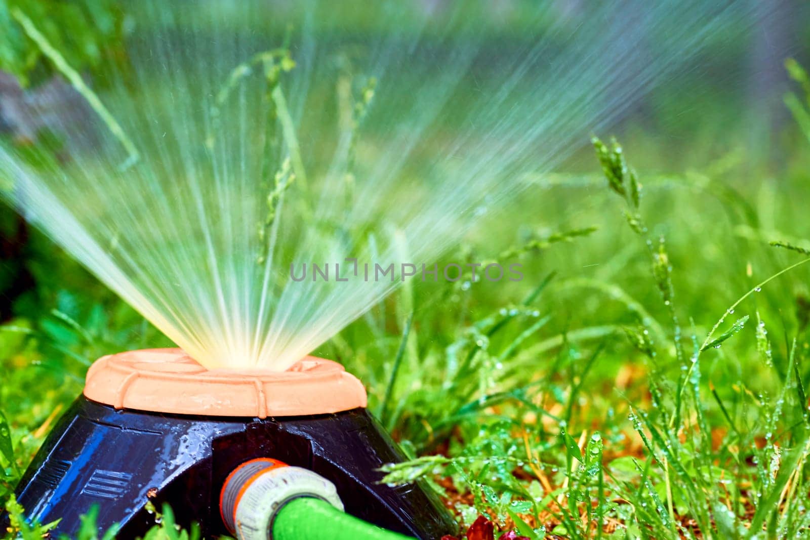 Irrigation system. Sprinkler watering greenery on a hot day in a city park by jovani68