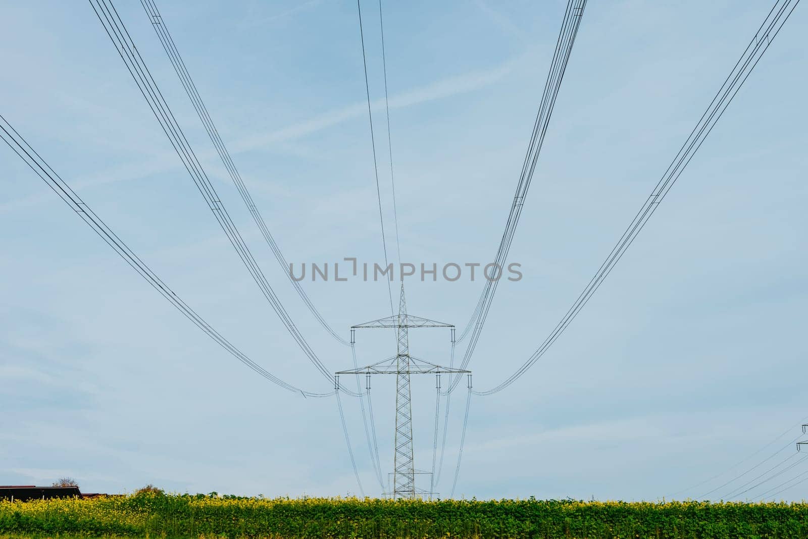 High voltage power lines leading through a green field. Transmission of electricity by means of supports through agricultural areas.