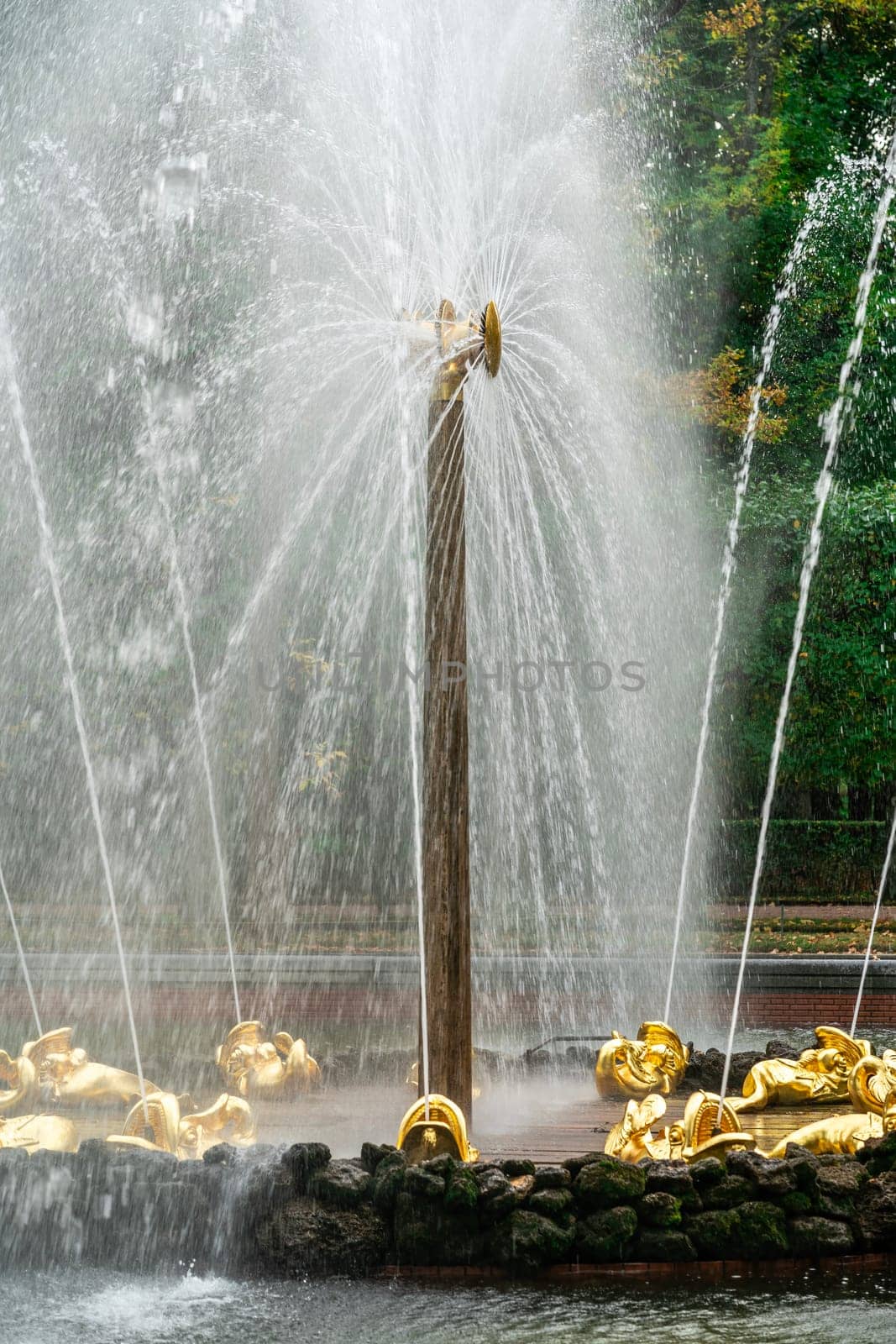 an active fountain in Peterhof Park in close-up. photo