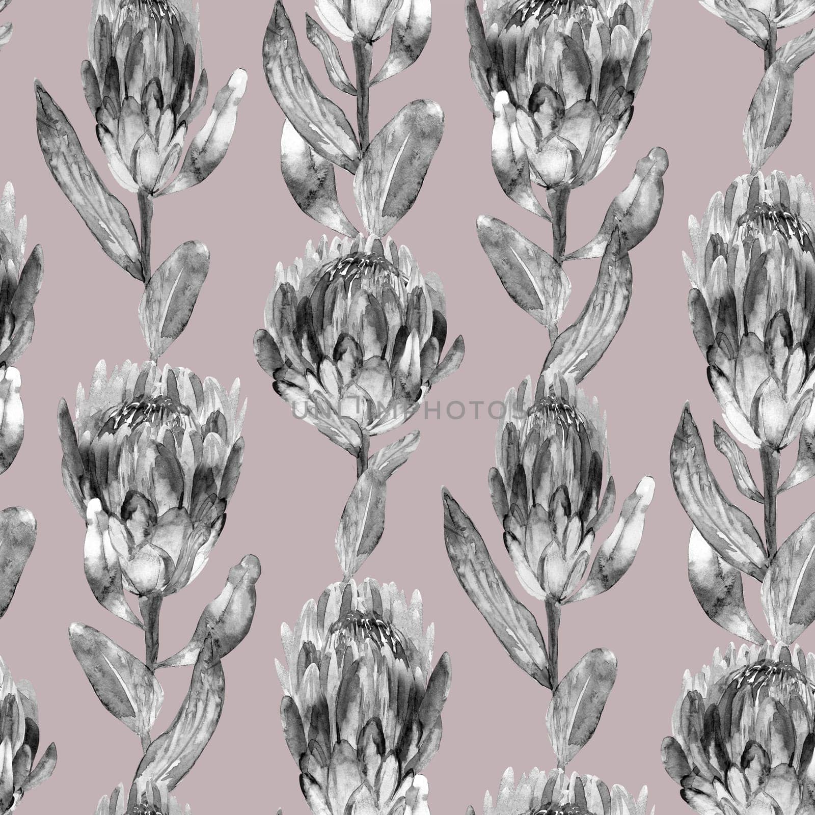 Monochrome black and white watercolor seamless pattern with protea flowers on a light background for textile and surface design