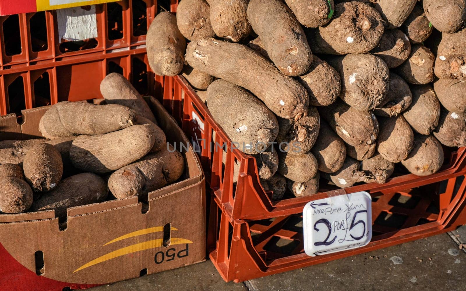 Puna yam (Dioscorea) displayed on food market in Lewisham, London.