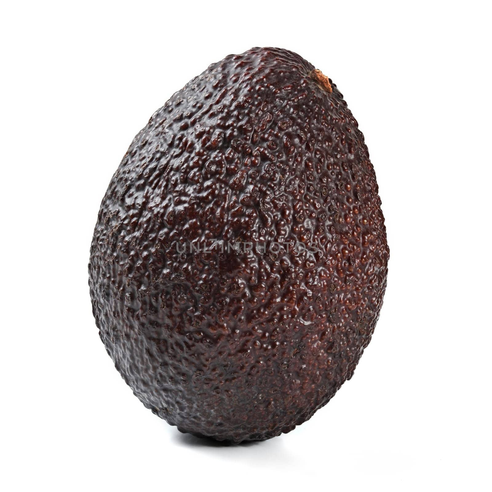 Single dark brown (bilse variety) ripe avocado isolated on white background