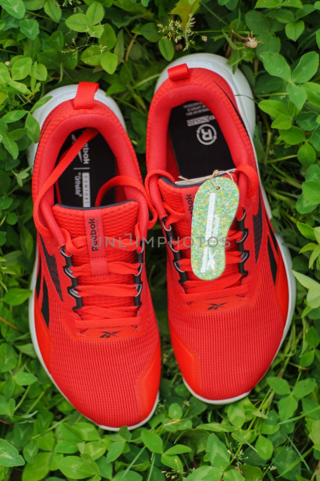 Tyumen, Russia-June 20, 2024: Sneakers red Reebok men model Nanoflex EK M2. Vertical photo