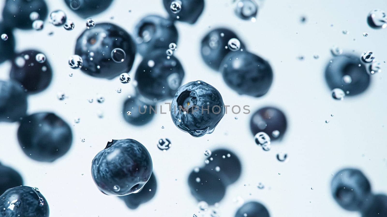 Beautiful blueberries isolated on white background, fresh blueberry farm market product