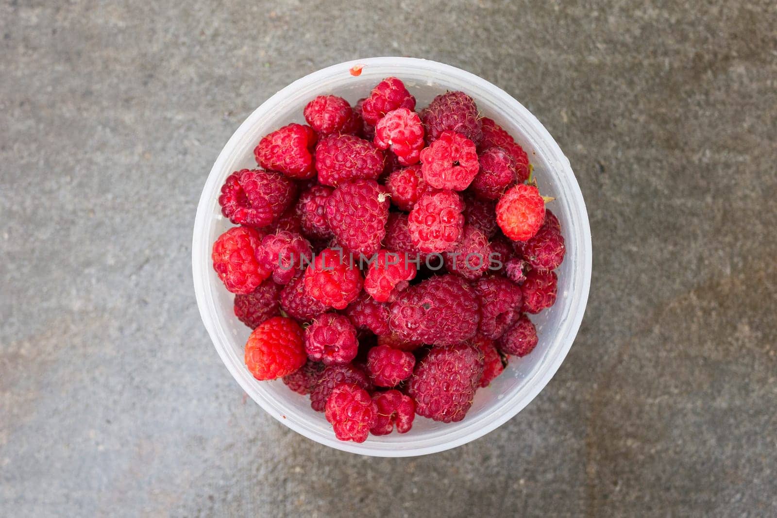 Red fresh raspberries lie in a round plastic bucket on a gray cement background.