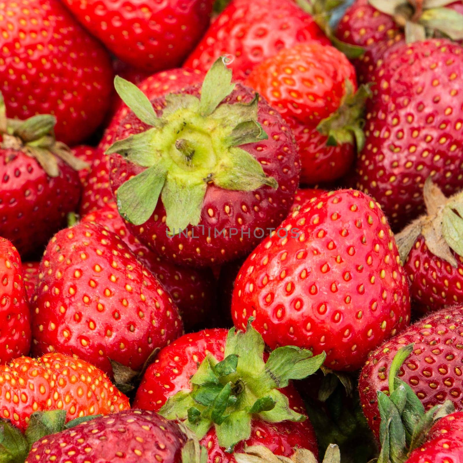 Attractive, appetizing strawberry macro.
