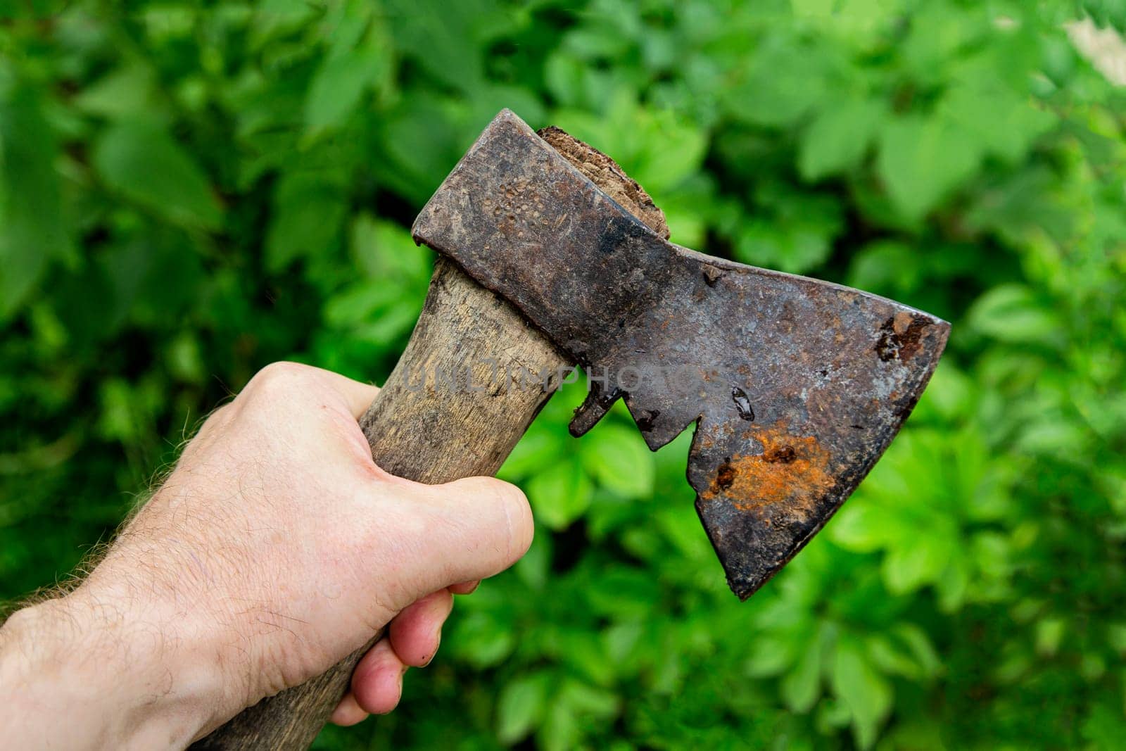 A hand holding an old, rusty ax, on a blurry green background of vegetation.
