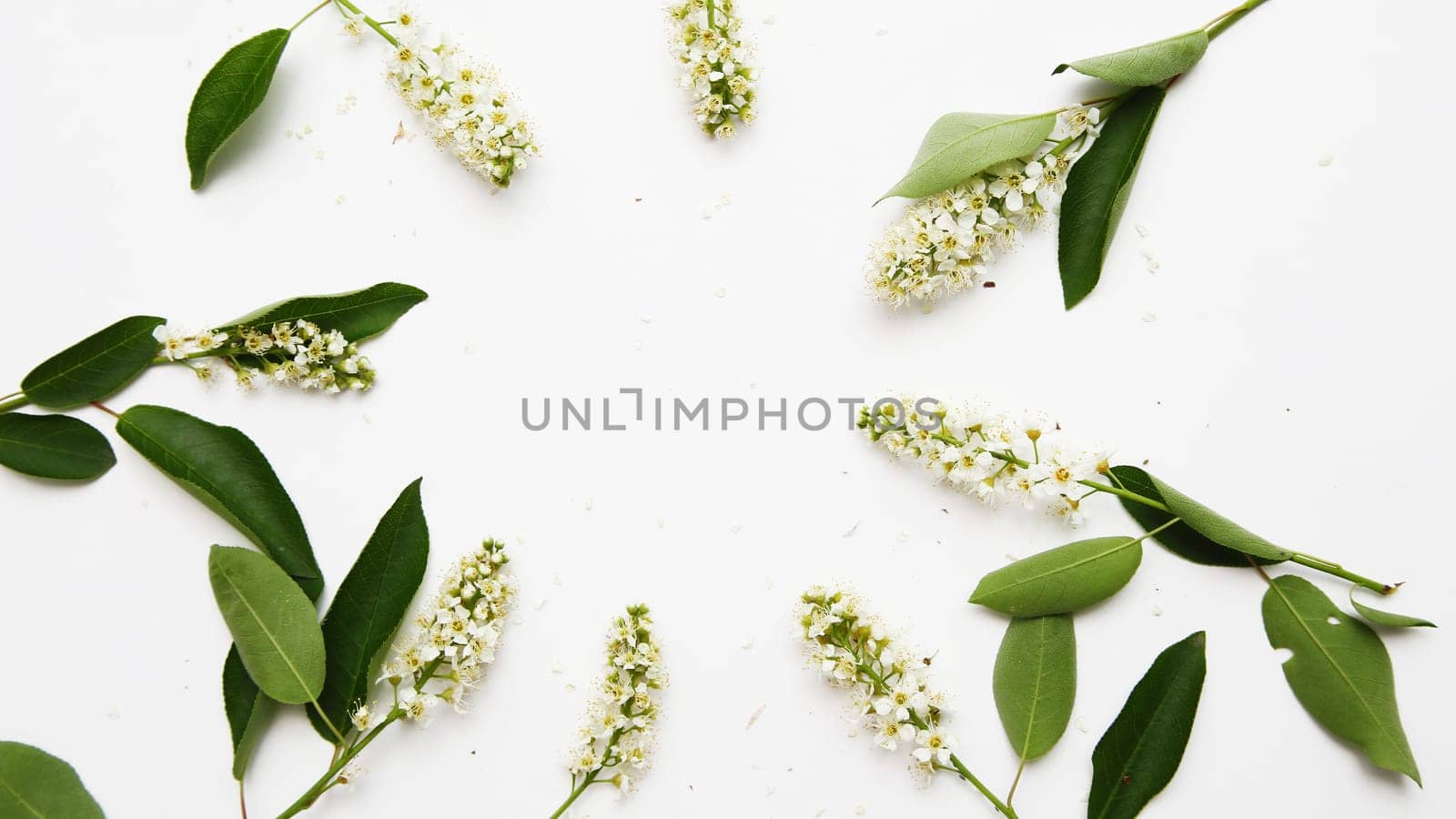 Chestnut flowers on a light paper background. Spring background with chestnut. Flat lay, top view.