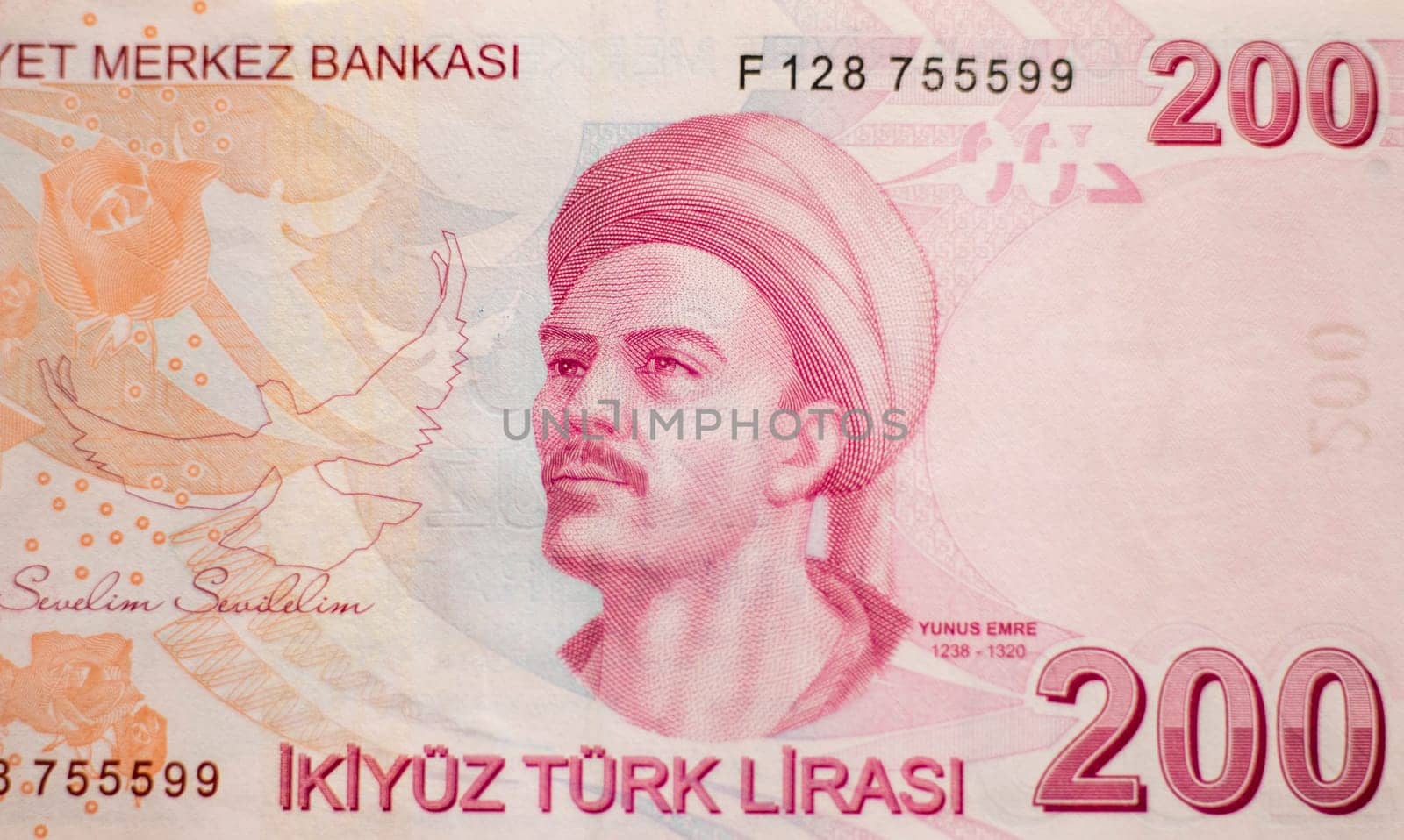 Close up shot of the Turkish lira note bill