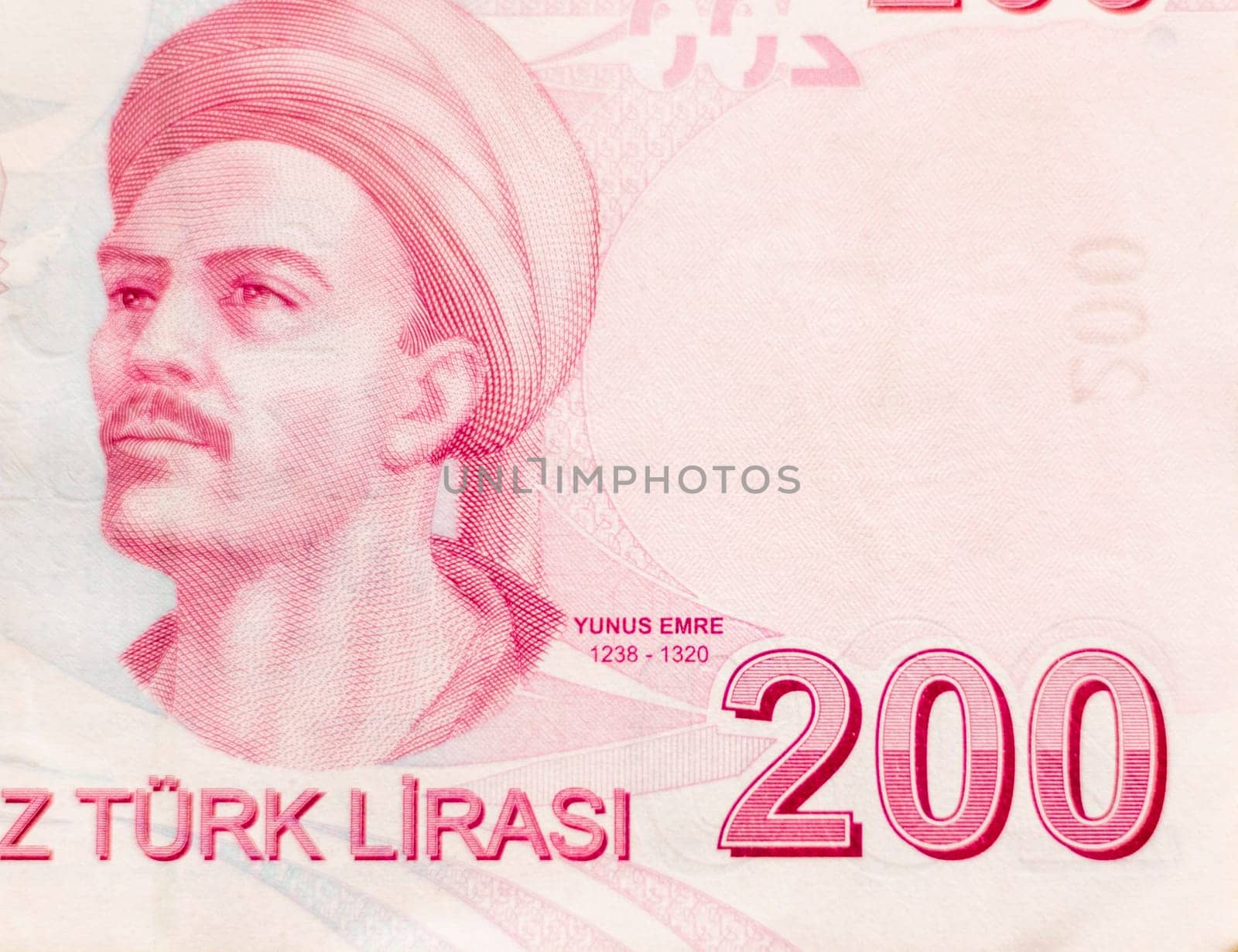 Close up shot of the Turkish lira note bill