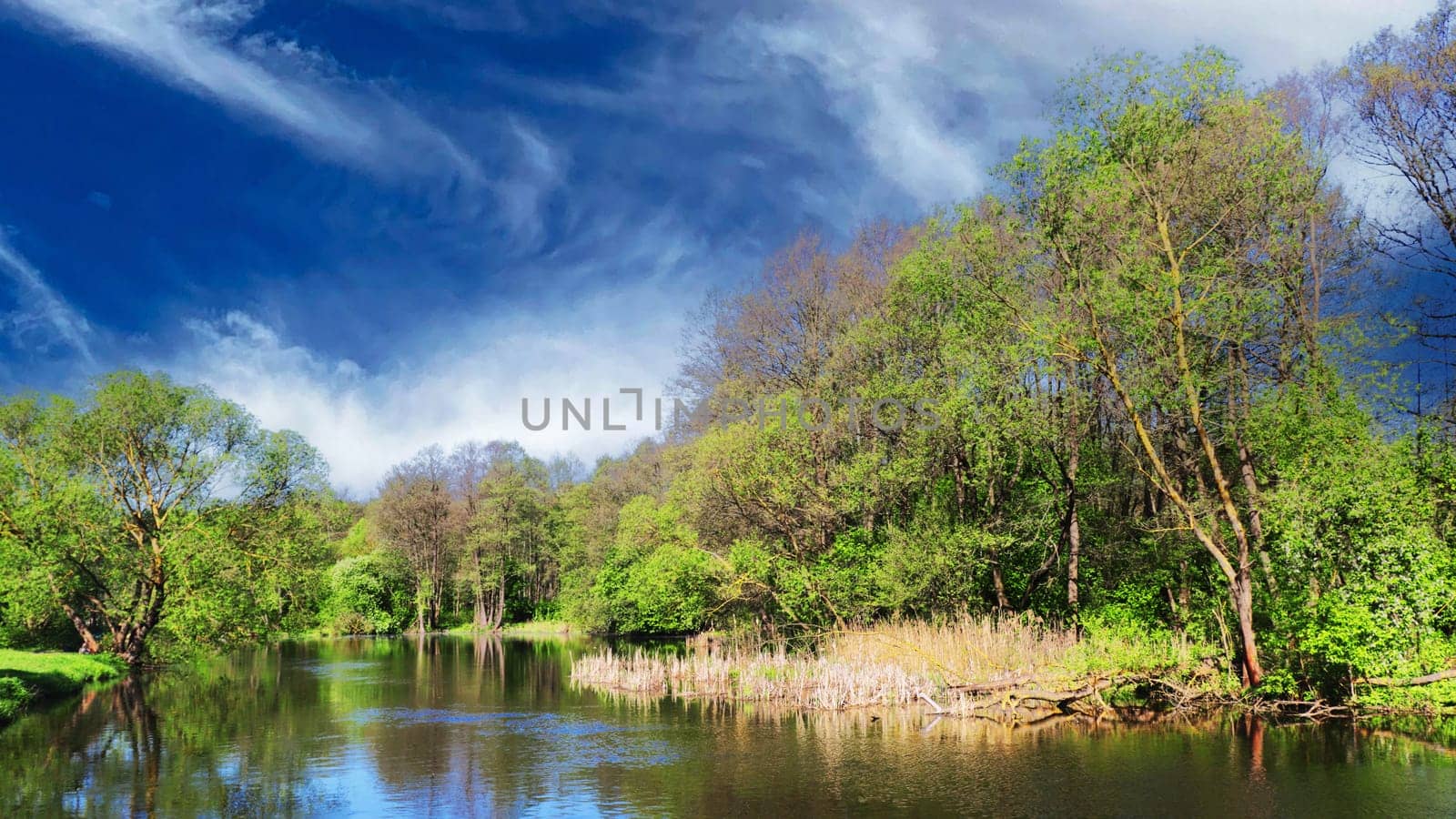 A strip of forest on the far bank of the river and a blue sky with clouds in the background.