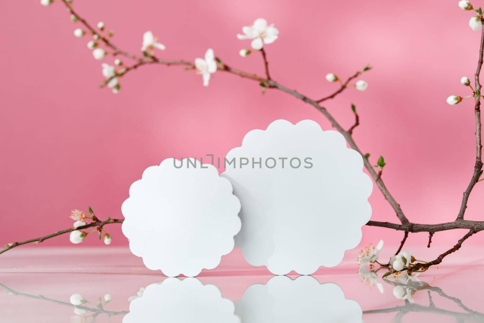 Decorative podiums and blooming branches on pink background with shadows copy space