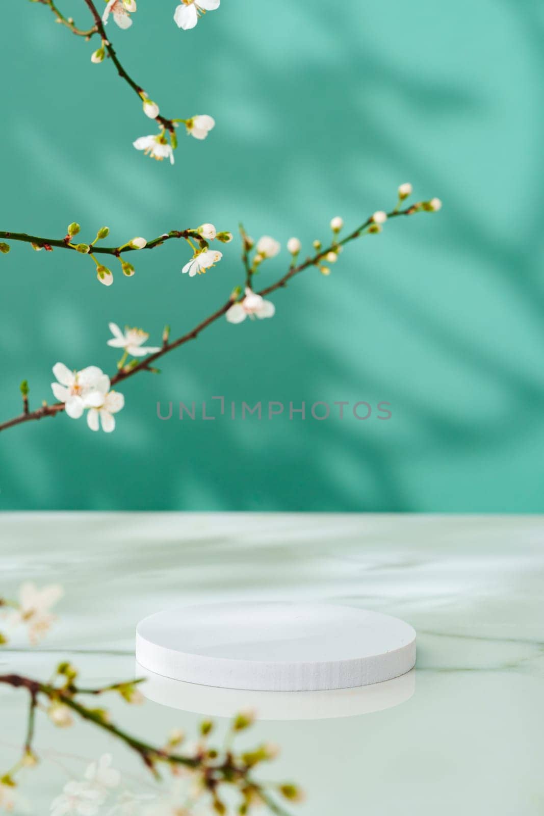 Decorative podiums and blooming branches on green background with shadows copy space