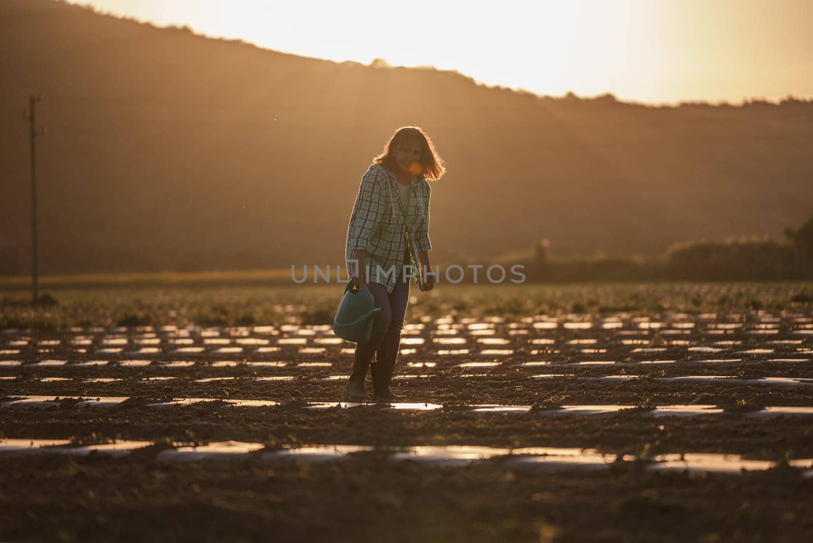 Senior woman farmer gardener is watering beds with young seedlings and sprouts using a metal watering can