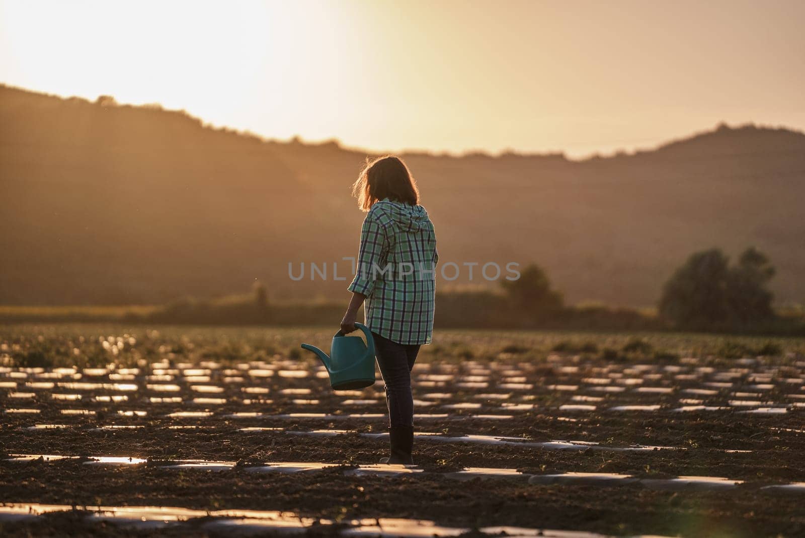 Senior woman farmer gardener is watering beds with young seedlings and sprouts using a metal watering can
