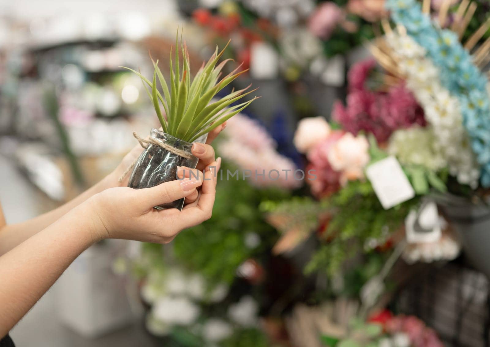 Young Girl In Store Selects Artificial Plants, Close-Up Of Hands