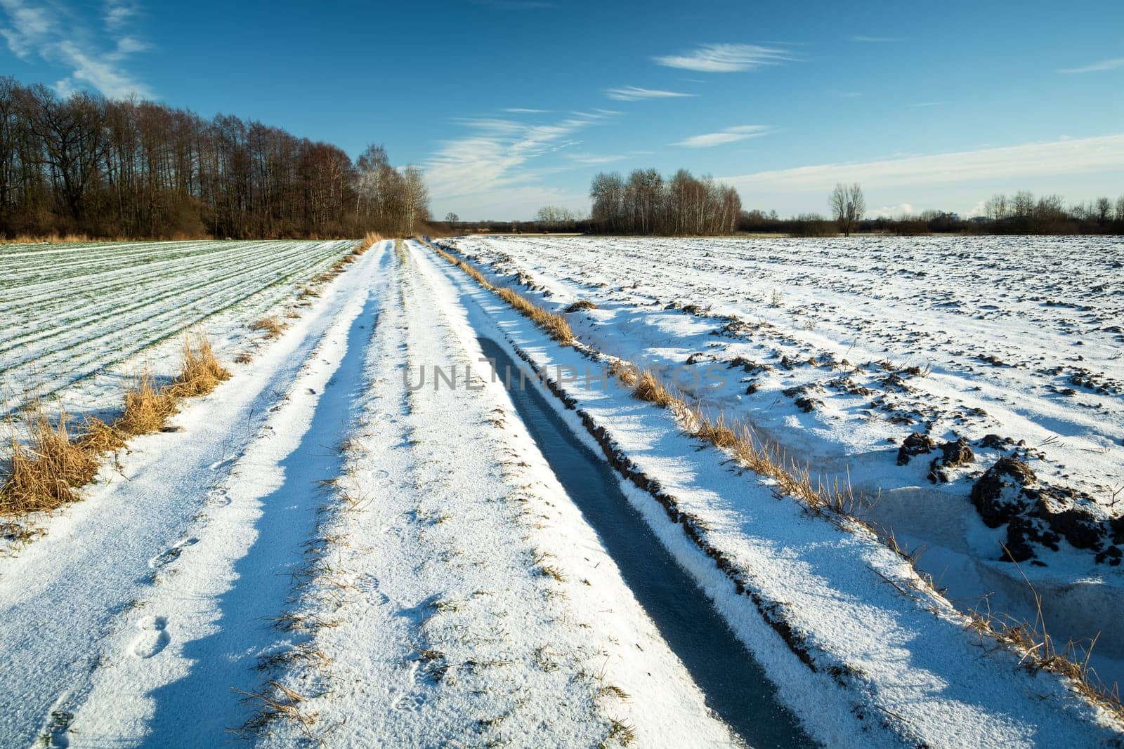 Snow-covered dirt road through the fields, sunny winter rural view