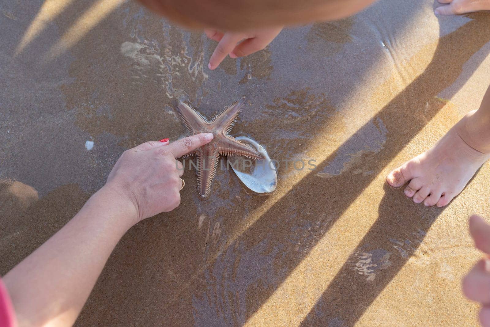 A woman is pointing at a starfish on the beach. The starfish is surrounded by sand and water