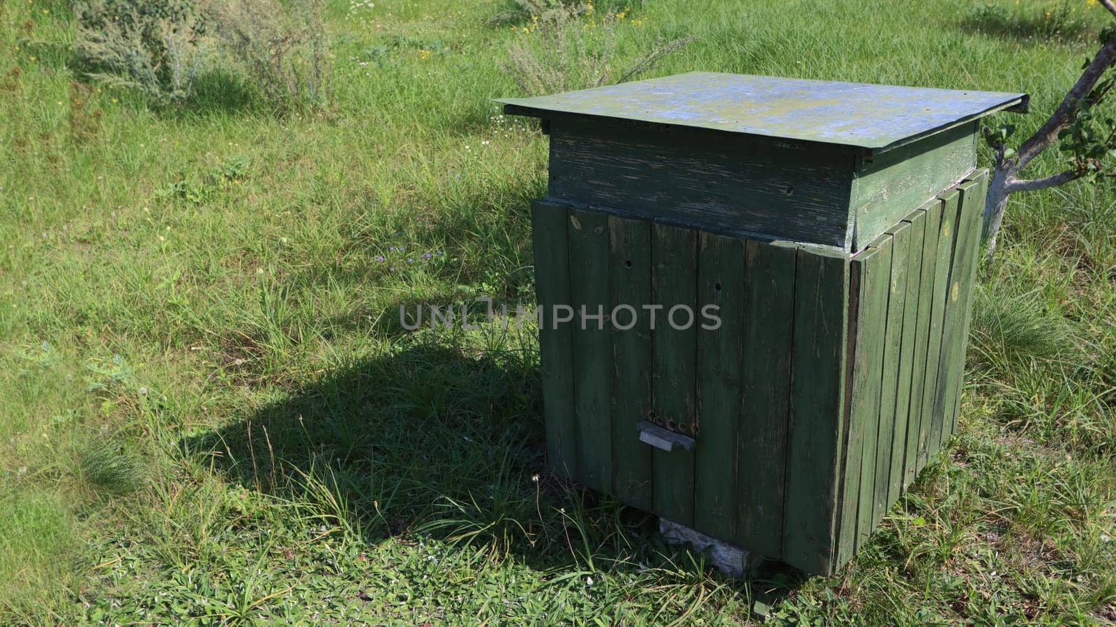 An old beehive with shabby green paint, green grass, shadow from the sun.