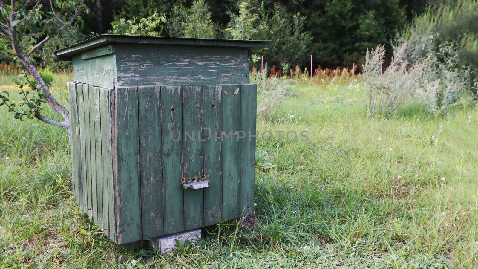 Old beehive with faded green paint on a farm. Old apiary with beehives in the garden.