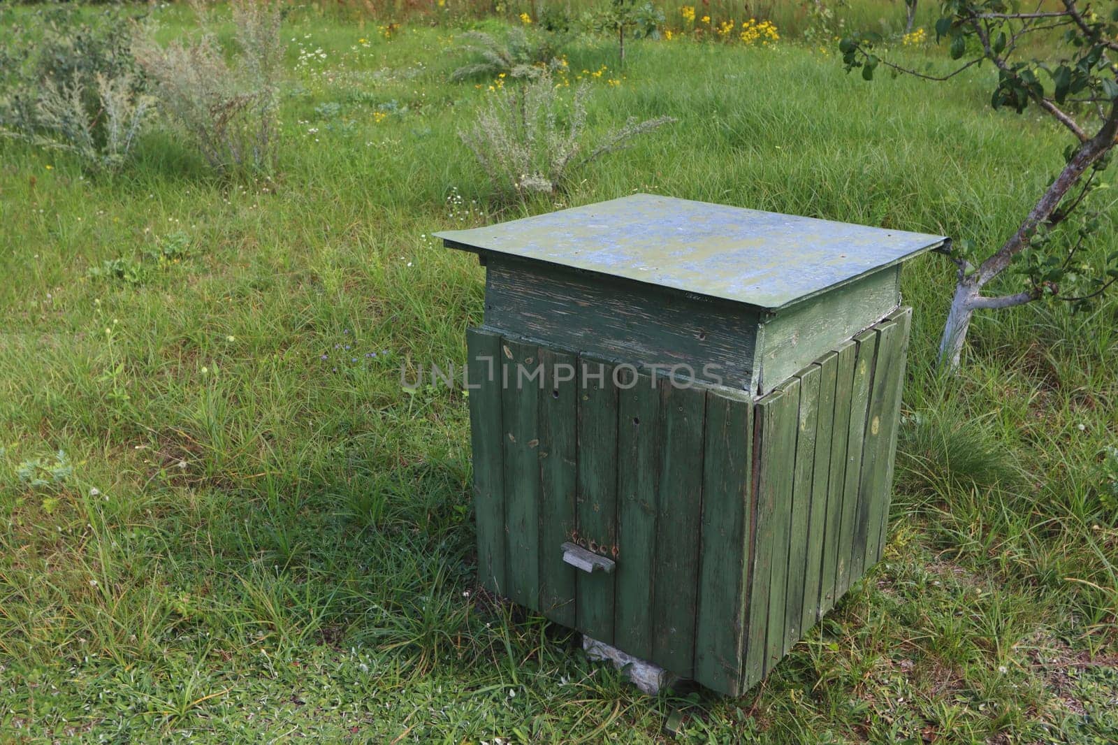Wooden beehives for bees on green grass in nature.