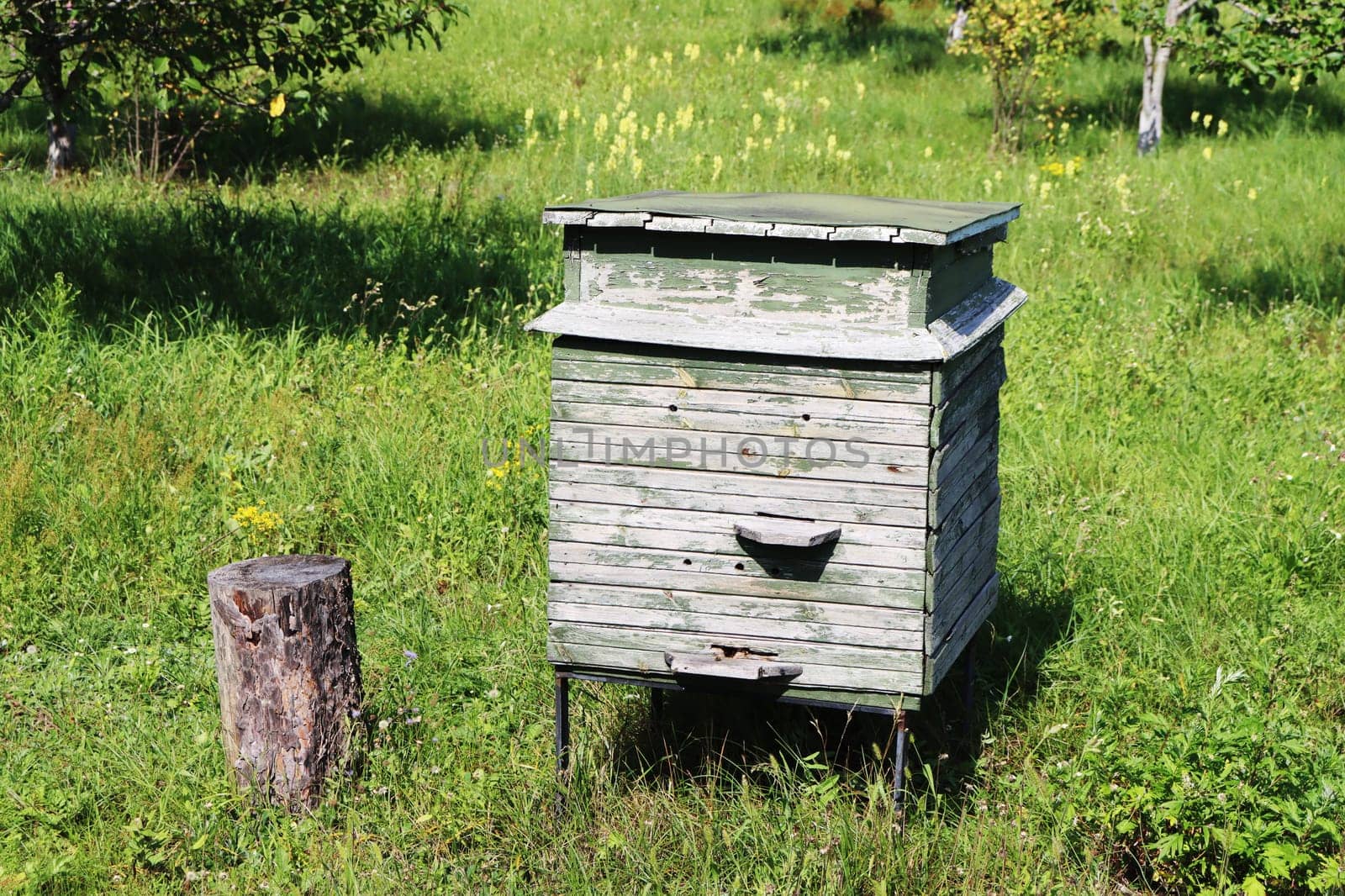 Wooden beehives for bees on green grass in nature.