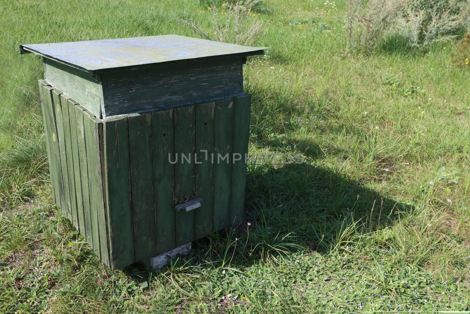 Green wooden hive for bees on the grass in nature.