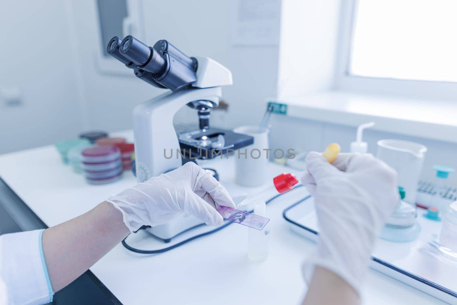 female laboratory assistant conducts research, chemical analysis, analysis of bacteria in the laboratory, doctor makes a test