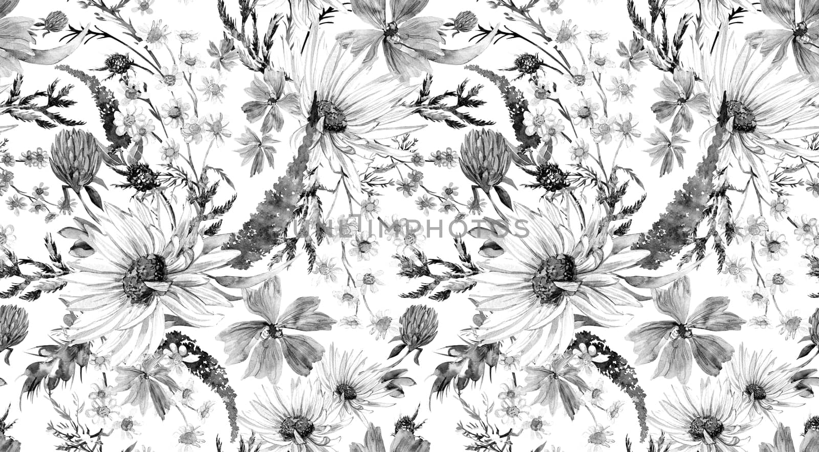 Seamless monochrome watercolor pattern with daisies and wildflowers drawn in watercolor
