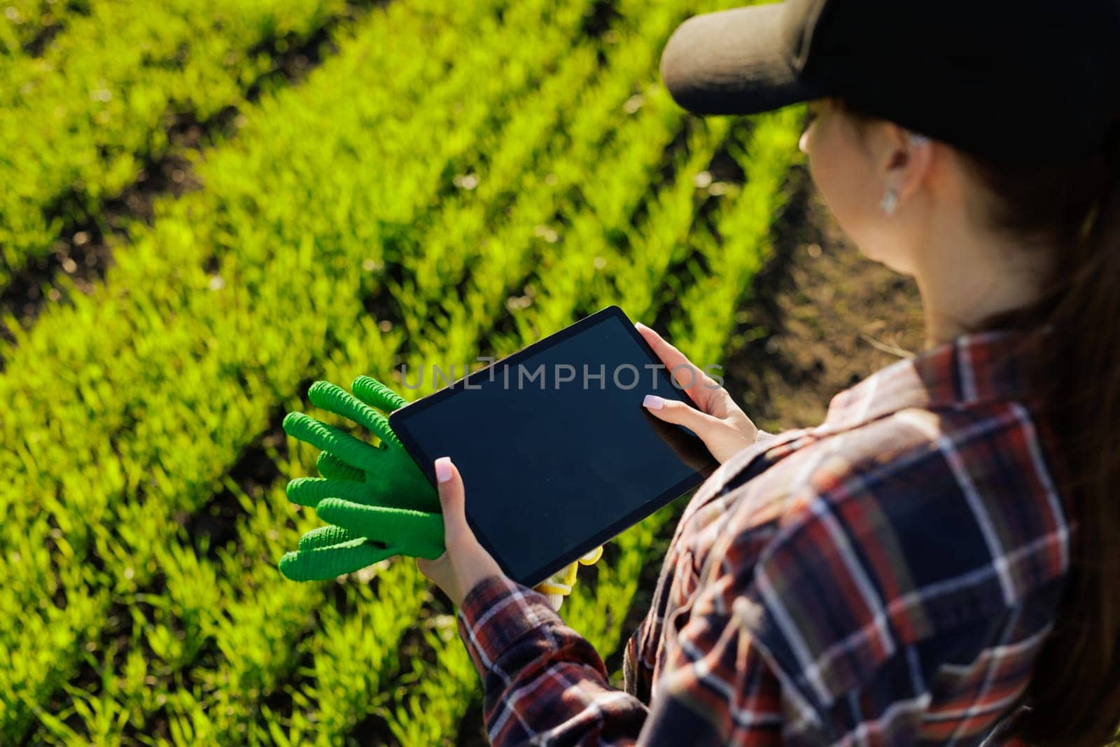 young female farmer with a tablet in her hands examines the green field. Modern technologies in agriculture management and agribusiness concept