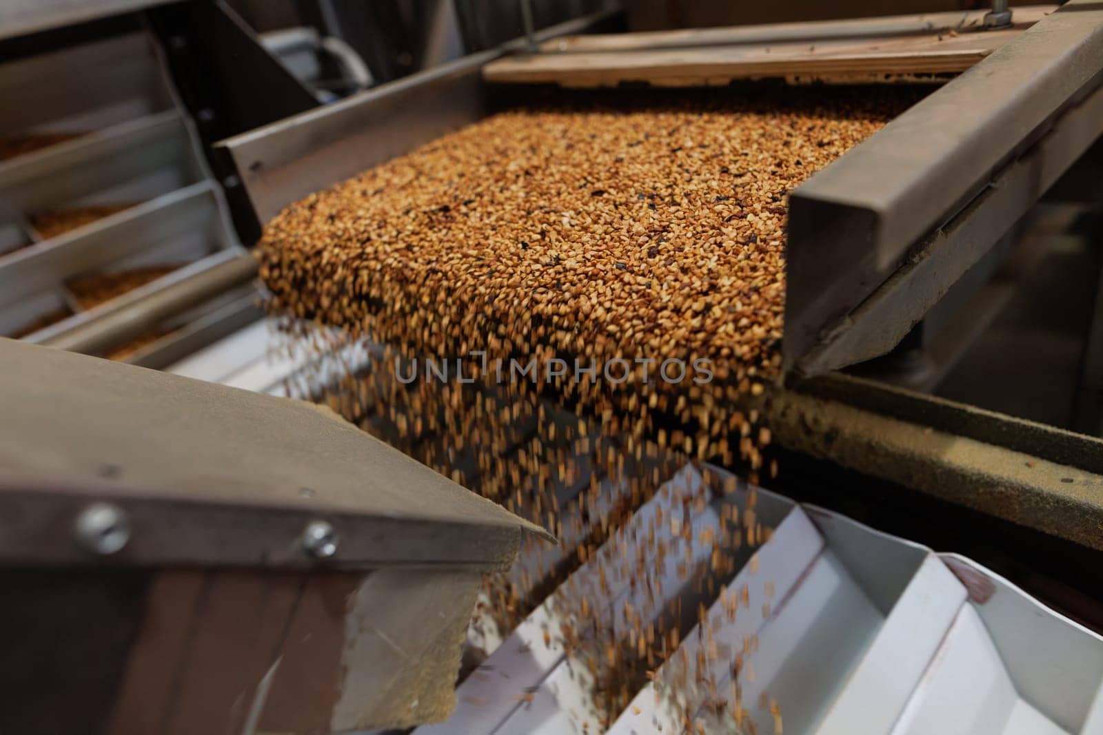 Grain sorting machine, Paddy machine sorts grains of one crop, separates grain peeling products. grain quality concept