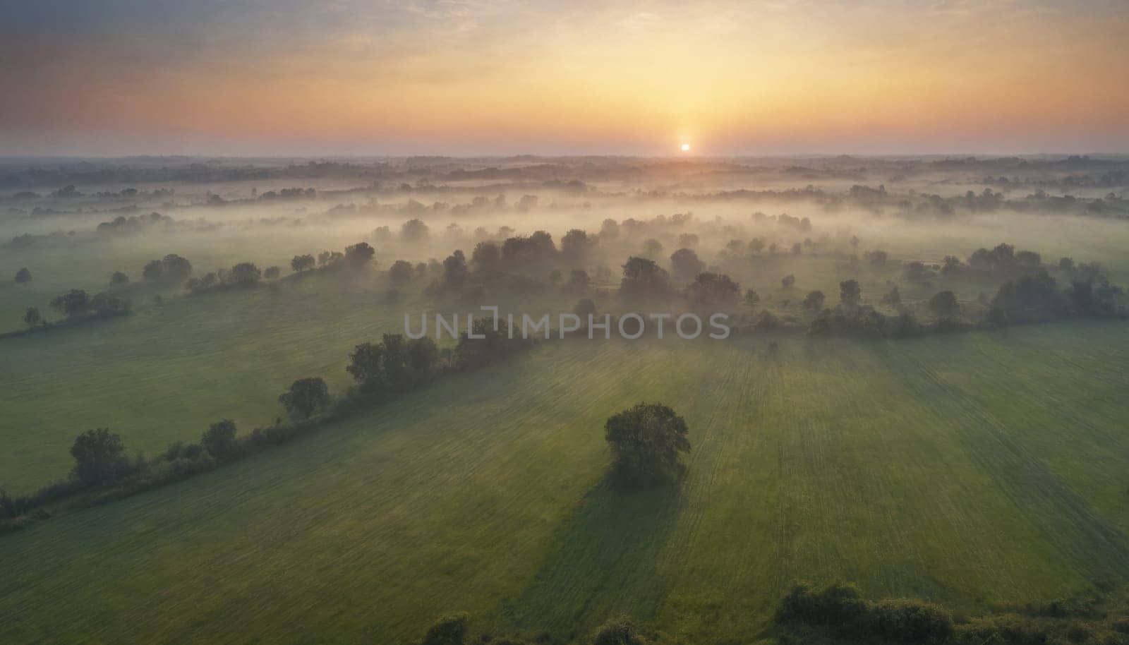 The sun rises over a vast field of green, casting a warm glow on the mist that lingers in the air. A single tree stands tall in the center of the field, silhouetted against the soft light of the dawn. The rows of crops stretch out towards the horizon, creating a sense of peace and tranquility.