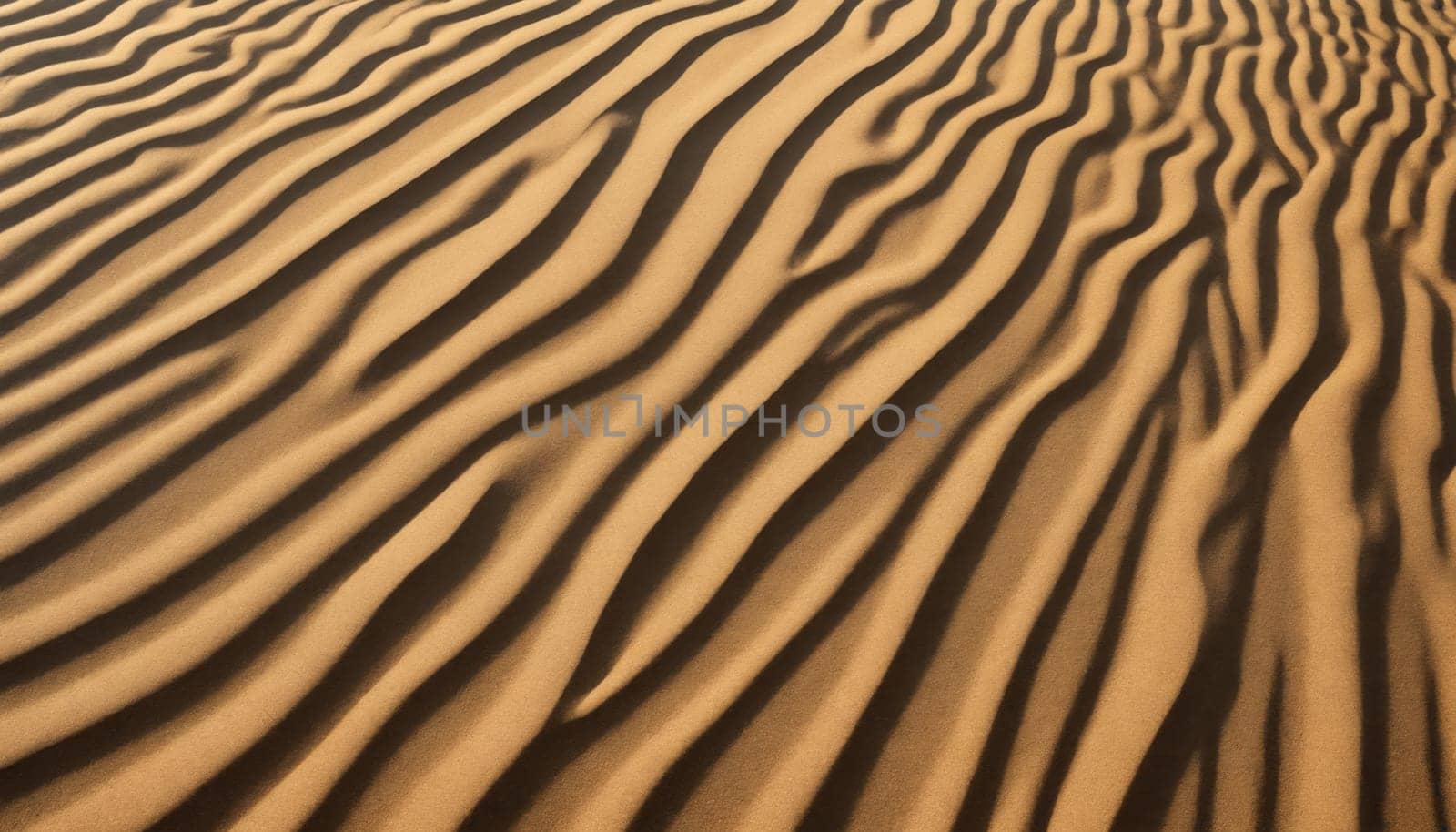 The golden light of the setting sun casts long shadows on the rippling surface of a desert sand dune, creating a mesmerizing pattern of light and dark lines. The smooth, undulating curves of the dune suggest the constant, yet subtle, movement of the wind, shaping the landscape over time.