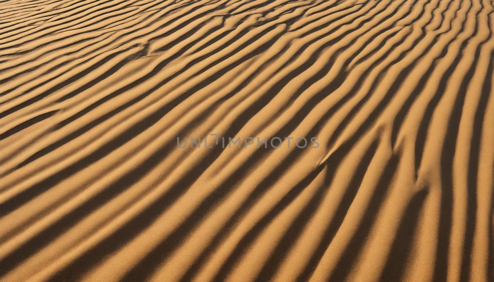 Smooth, golden sand dunes stretch out in a gentle undulation, their surface sculpted by the steady force of the wind. The desert landscape appears calm and peaceful, with the sun casting a warm glow over the scene.