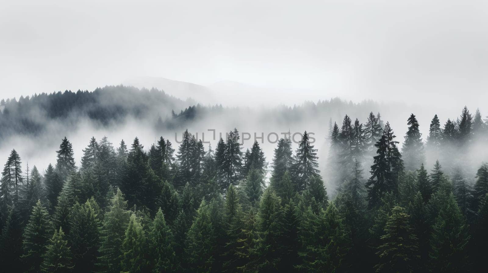 Layers of forested hills shrouded in morning mist present a serene, monochromatic view - Generative AI