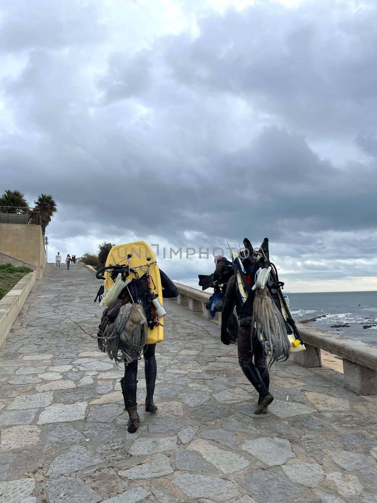 Back view anonymous underwater fisherman in wetsuits and gears walking near sea under cloudy sky. Rear view of male friends with spearguns and catch leaving after hunting.