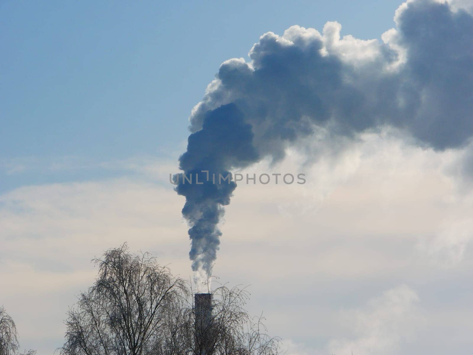 A smoking chimney against the background of the sky and a tree. The bad ecology.