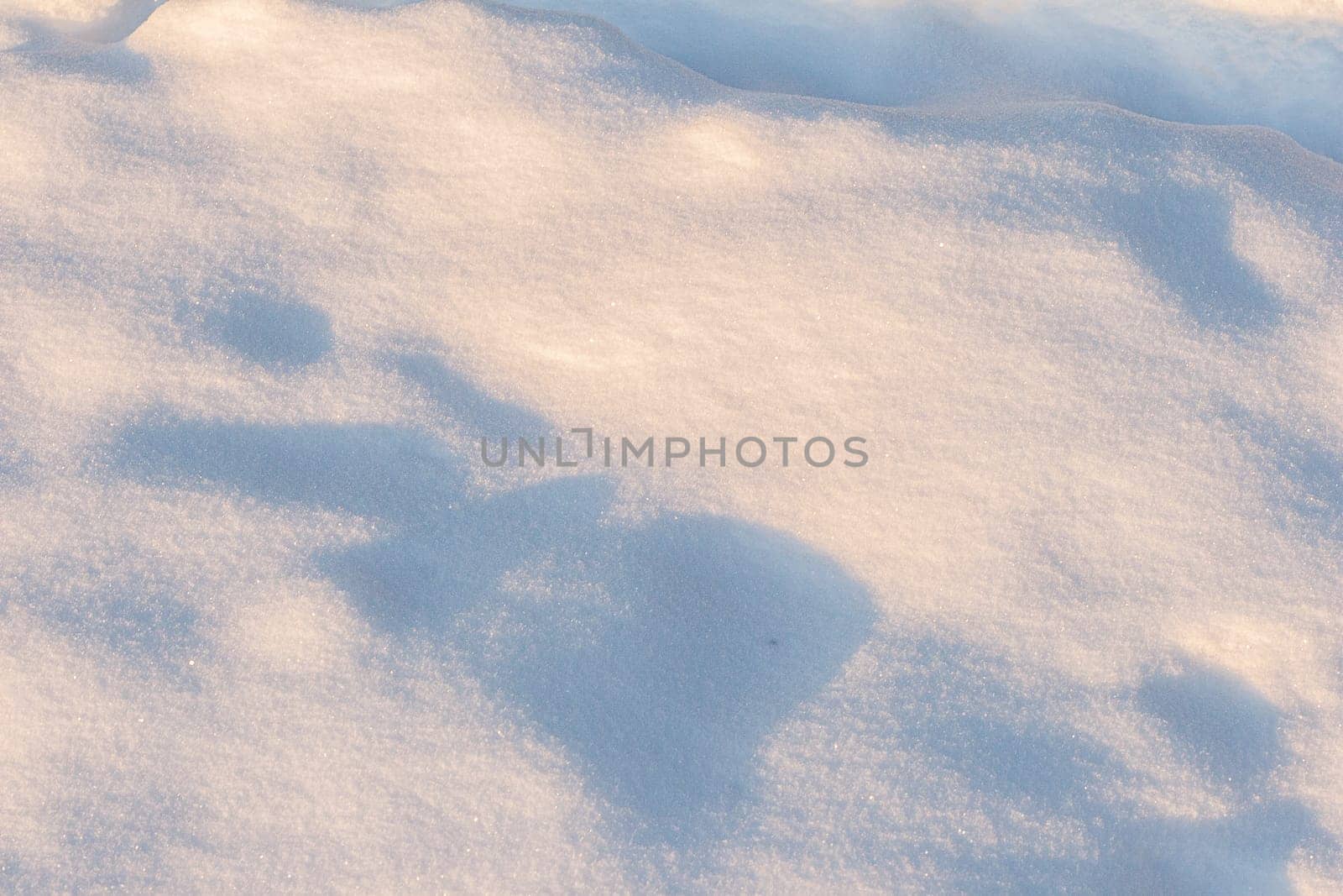 Close-up of fresh snow on a sunny day. Snow texture close-up.