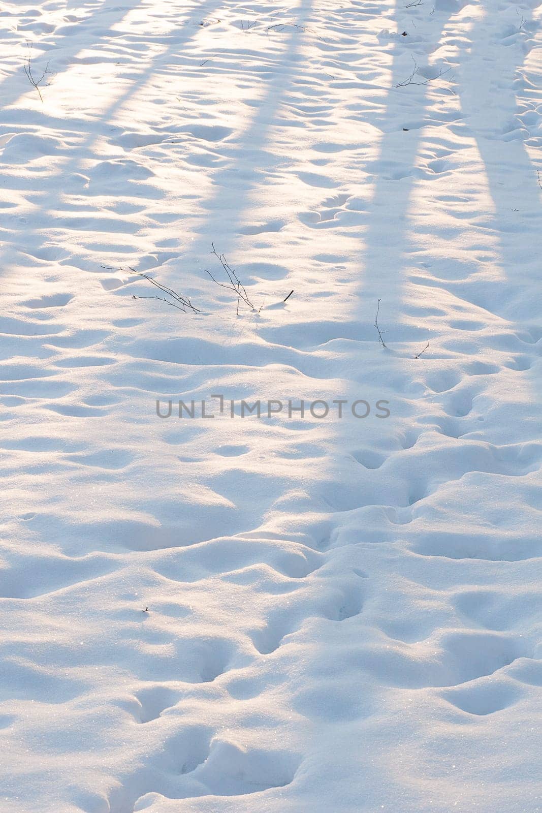Brightly lit snow surface with footprints. Snow surface with shadows and traces in sunny weather.